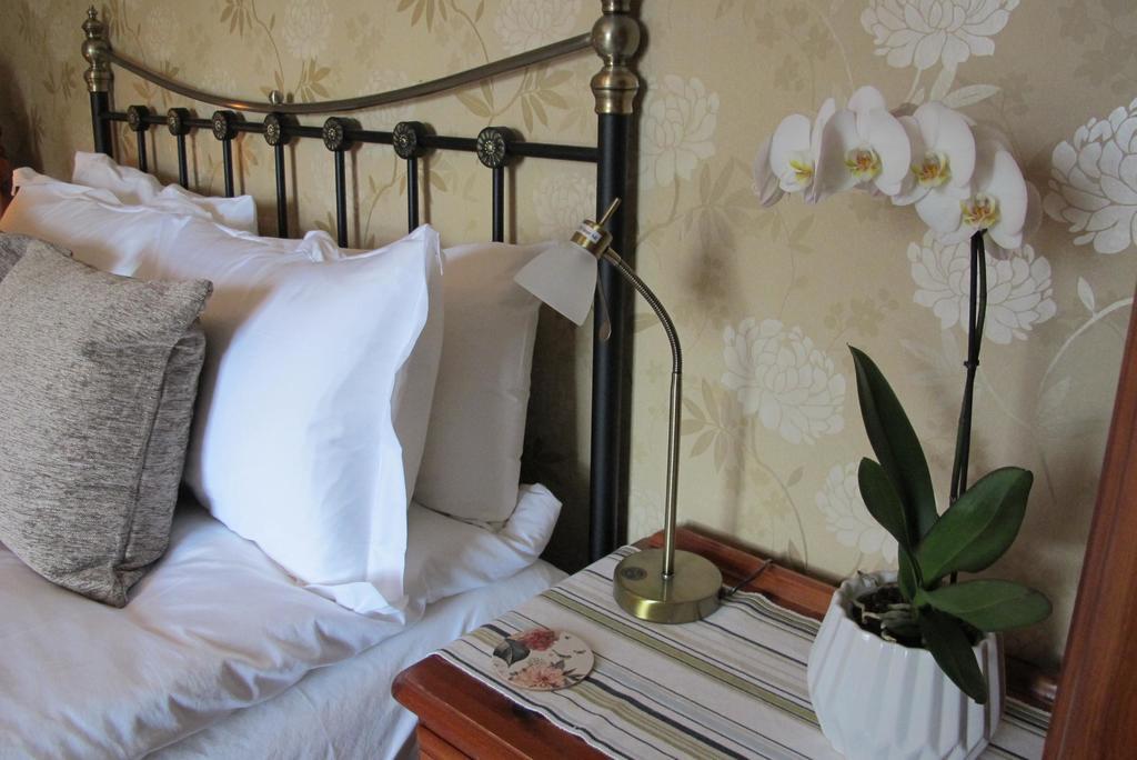 Holmleigh House Bed And Breakfast シートン エクステリア 写真