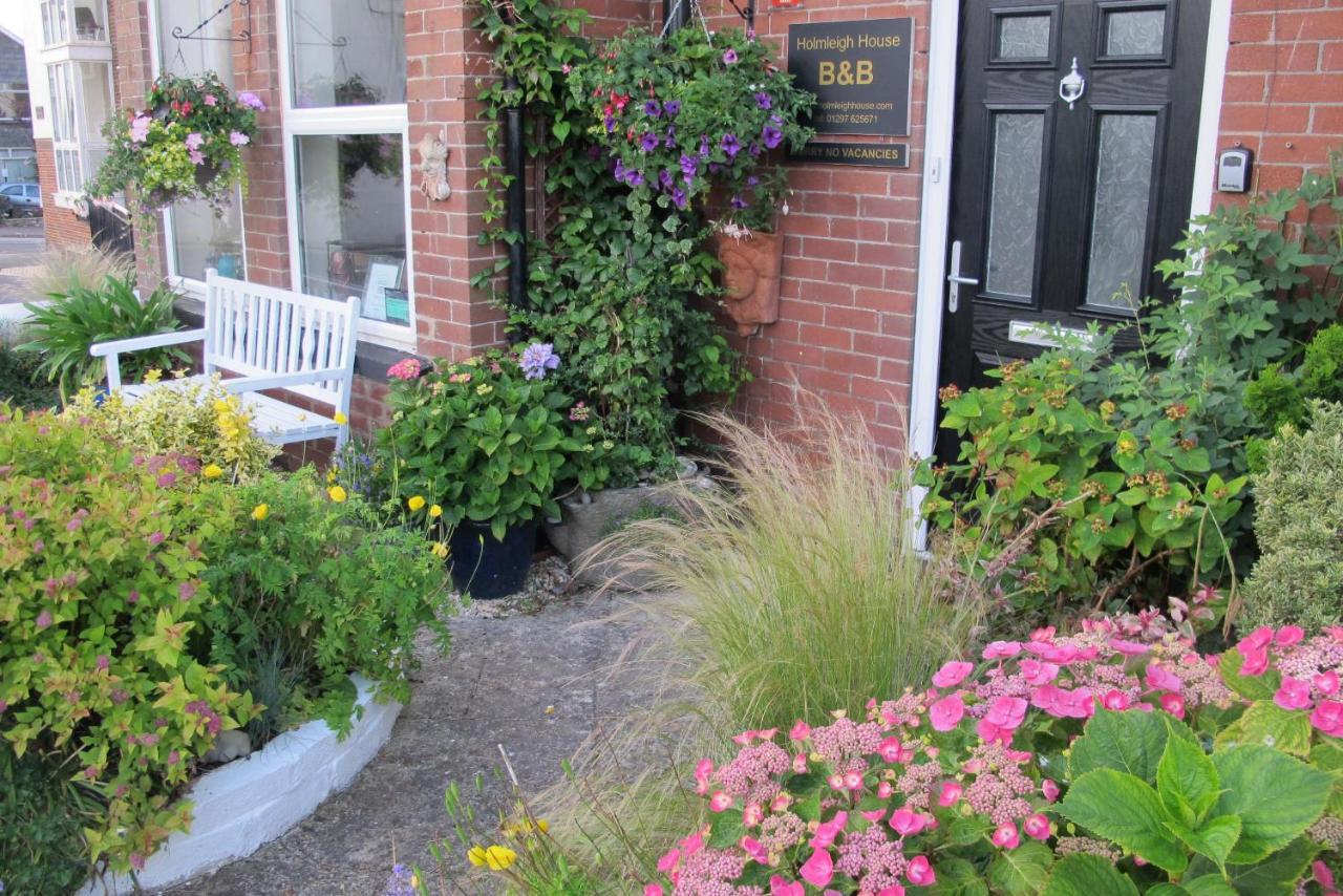 Holmleigh House Bed And Breakfast シートン エクステリア 写真